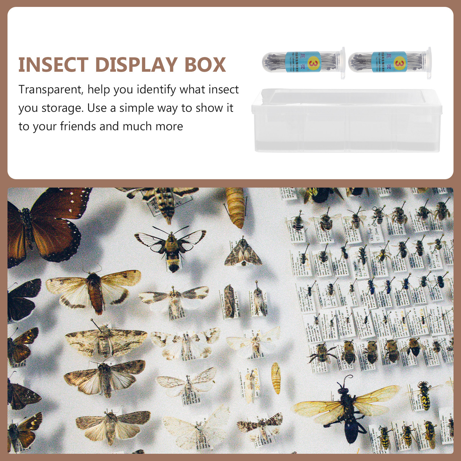 Collectors Coins Jewelry & Watches Of Smithtown - 1Set Transparent Specimen Box Kit High